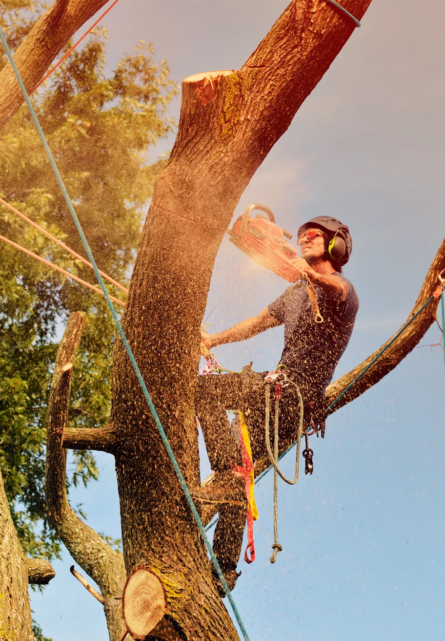 Why GA Landscaping & Masonry LLC