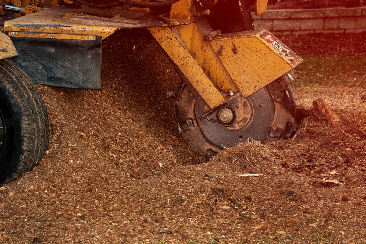 Stump Grinding Services
